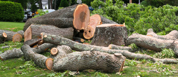Landscape Design and Installation in Fort Walton Beach, FL